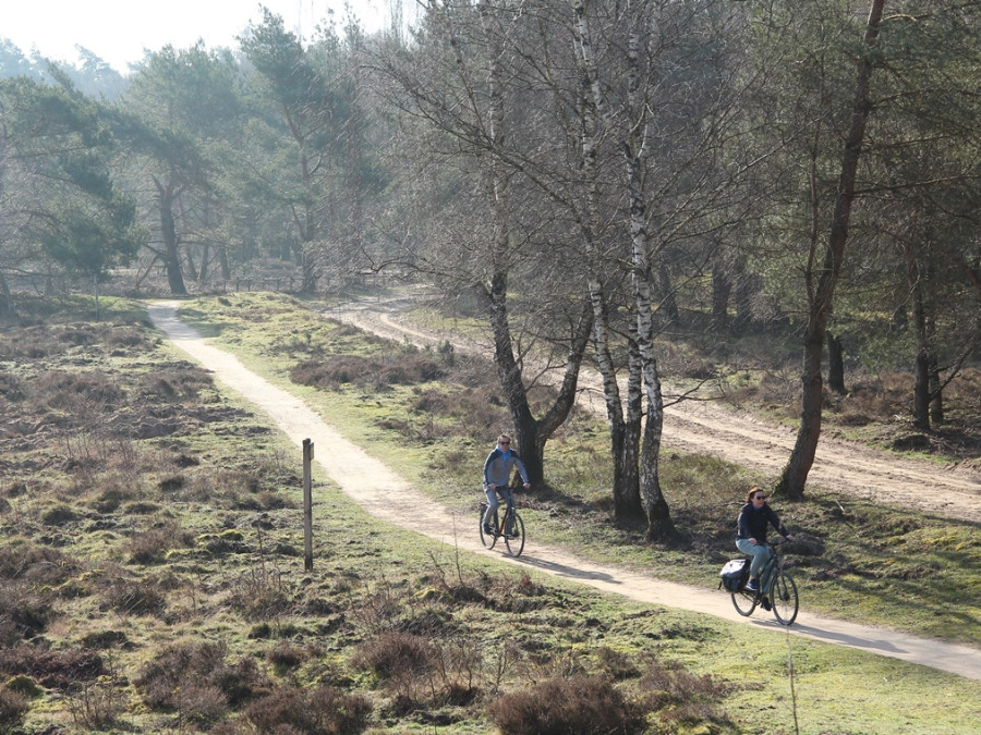 Fietsen Planken Wambuis