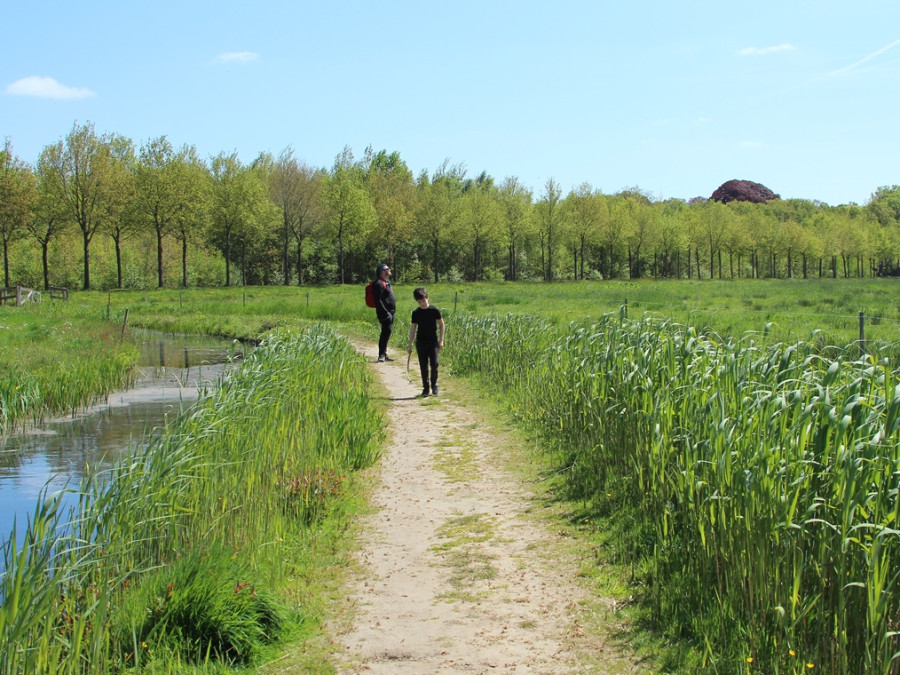 Wandelen in Friesland