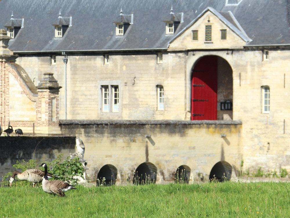 Kasteel in Valkenburg