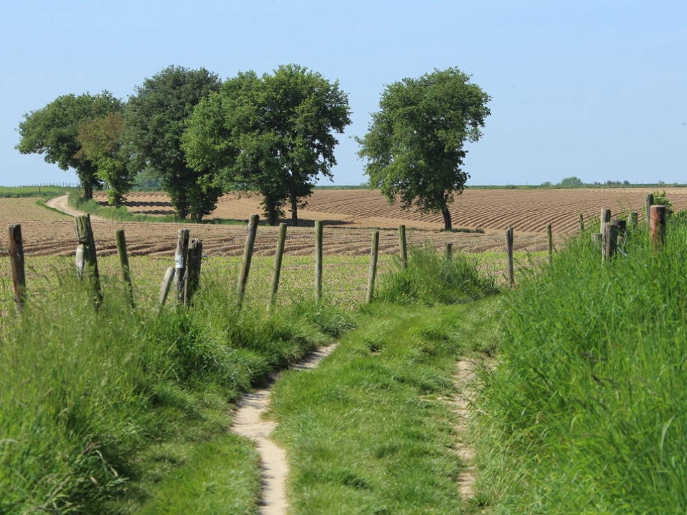 Omgeving Valkenburg