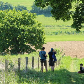 Afbeelding voor Zuid-Limburg