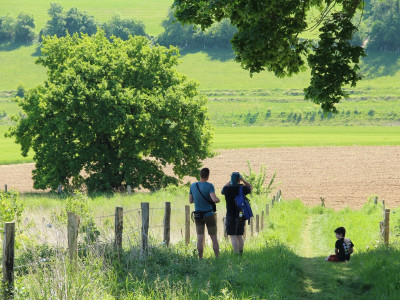 Afbeelding bij Zuid-Limburg