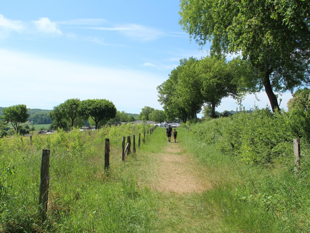 Wandelen bij Gulpen