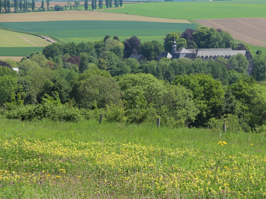 Heuvelland bij Gulpen