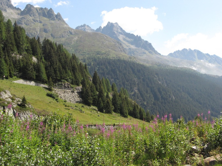 Bergen in de Alpen