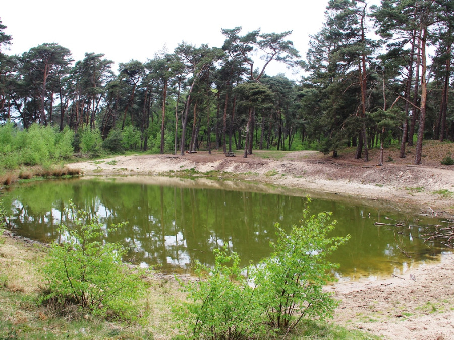 Vennetje op het Wekeromse Zand