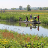 Afbeelding voor Natuur bij Veenendaal