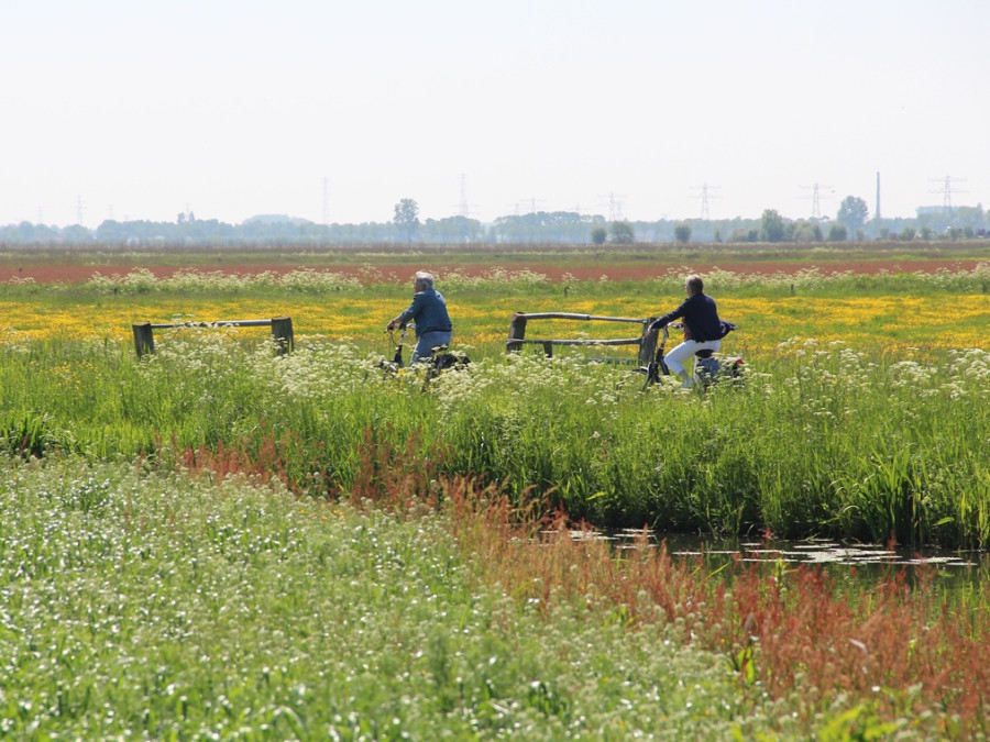 Fietsen tussen de bloemen