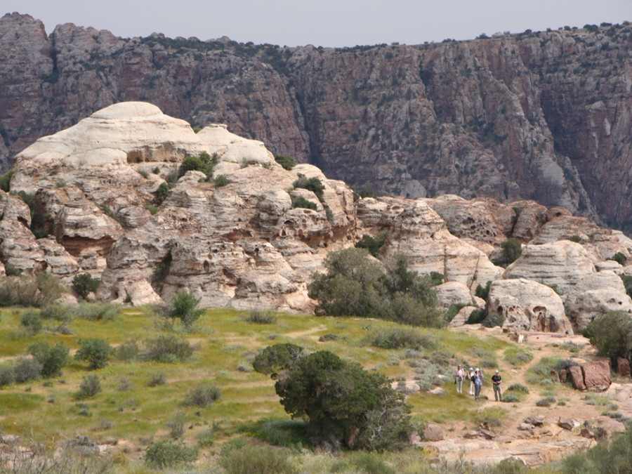 Natuur Jordanie