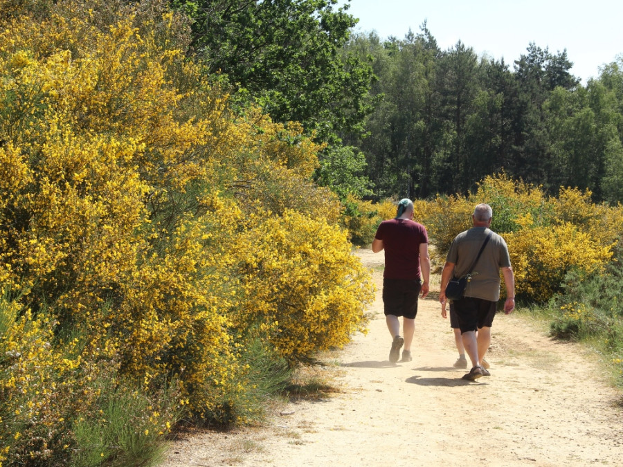 Limburgse wandeltocht