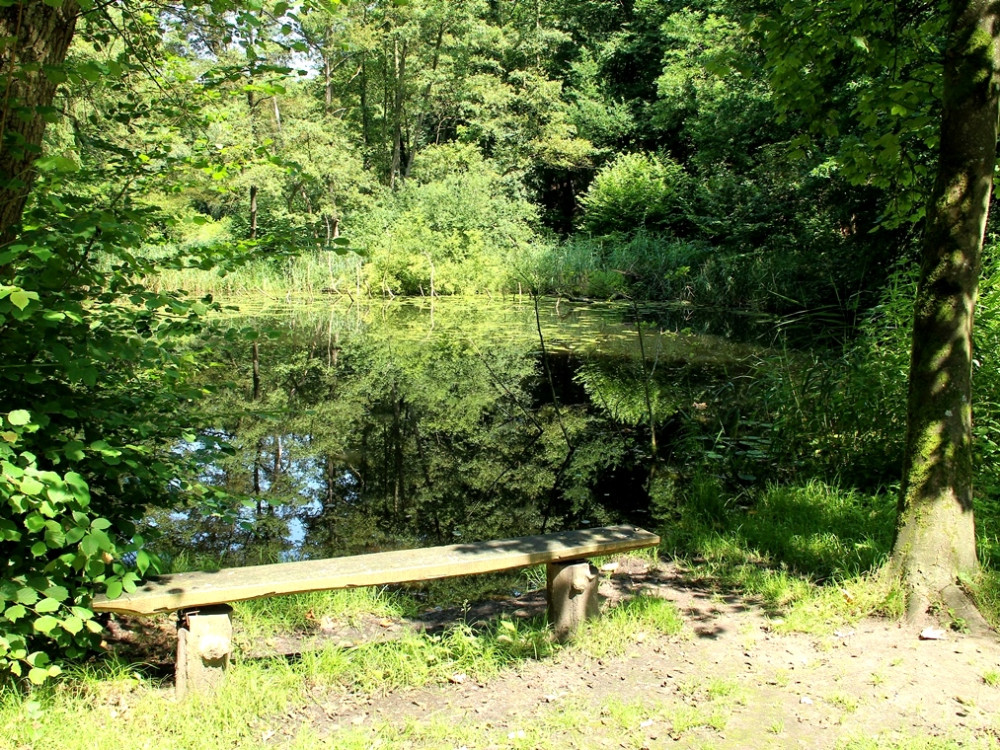 Vijver bij Plasmolen