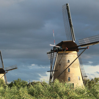 Afbeelding voor Zuid-Holland