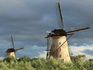 Afbeelding voor Zuid-Holland