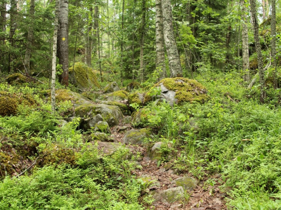 Wandelen in Jyväskylä