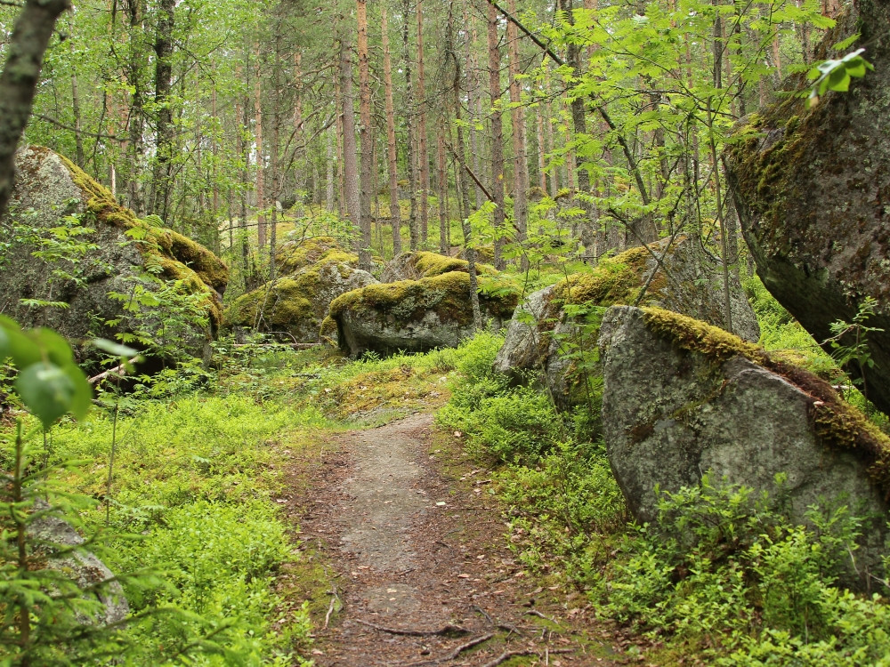 Wandelen Finland