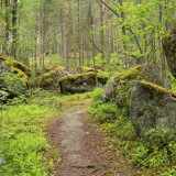Afbeelding voor Wandelen in Finland