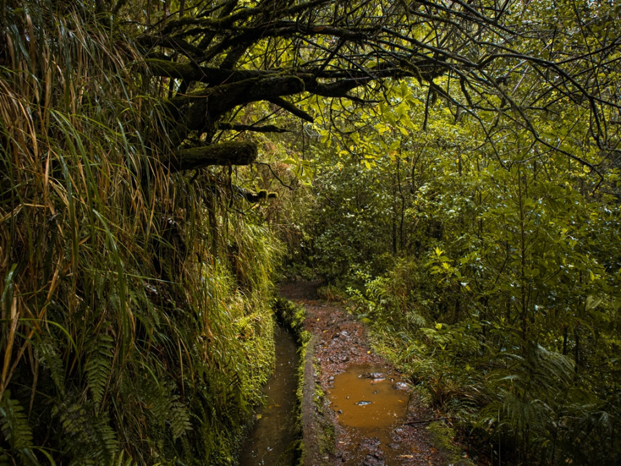 PR9 Caldeirão Verde