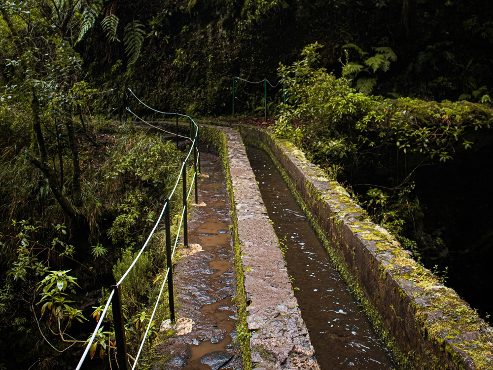 Levada