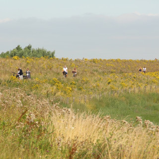 Afbeelding voor Fietsen in België