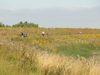 Afbeelding voor Fietsen in België