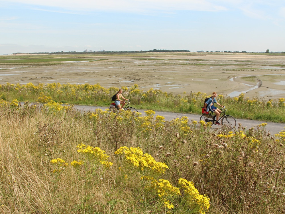 Verdwenen Zwinhavens