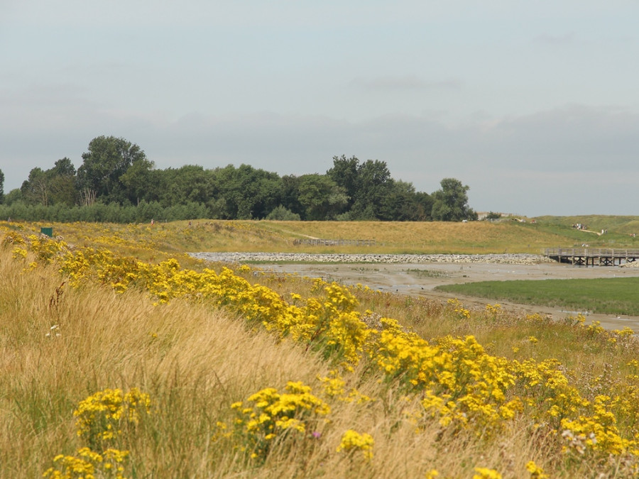 Route langs de Verdwenen Zwinhavens