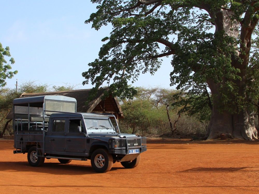 Safarijeep Bandia