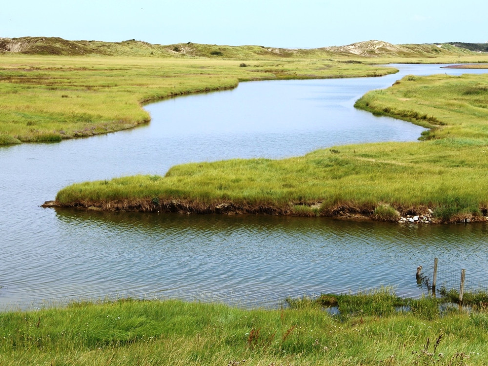 Zwin Natuurpark