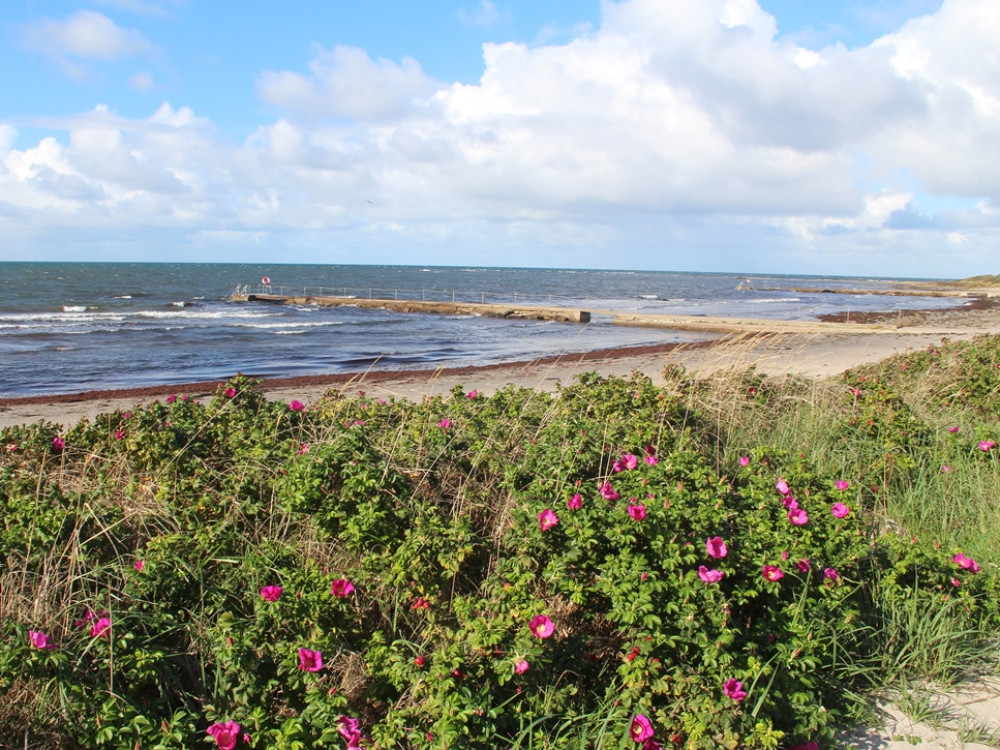 Zandstranden