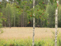 Dalarna