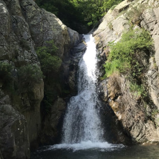 Afbeelding voor Pyrénées-Orientales