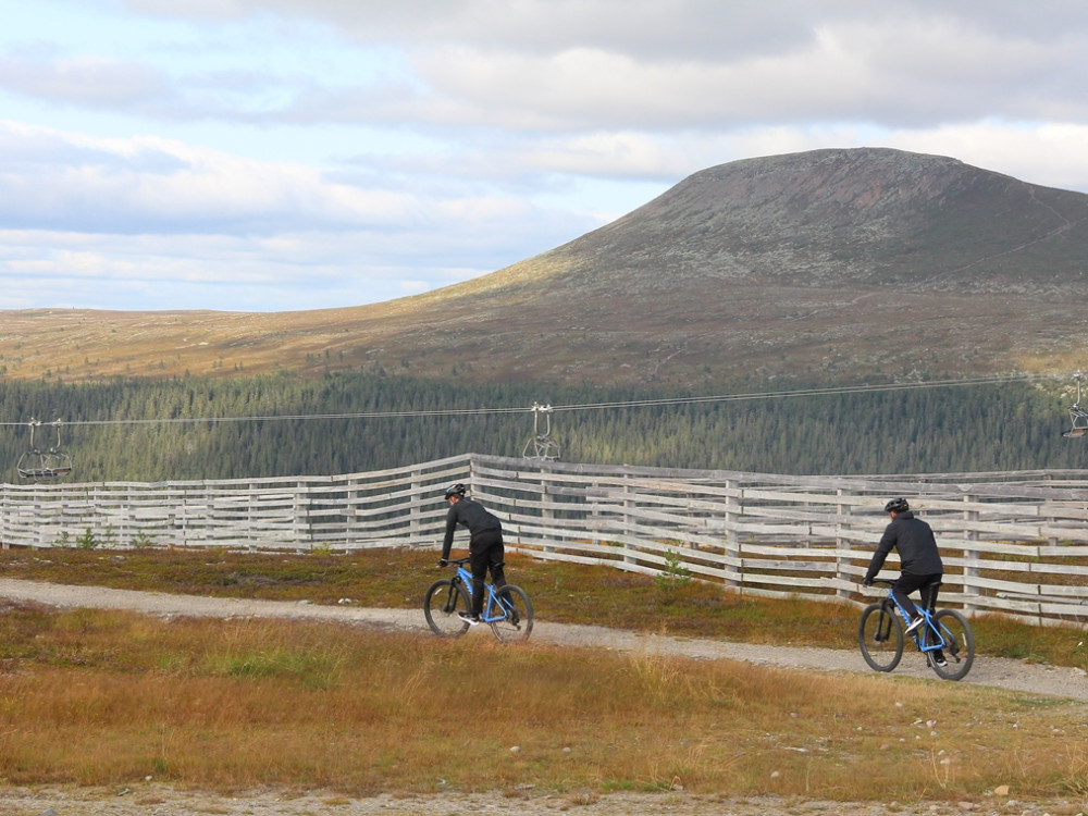 Fietsen in Zweden