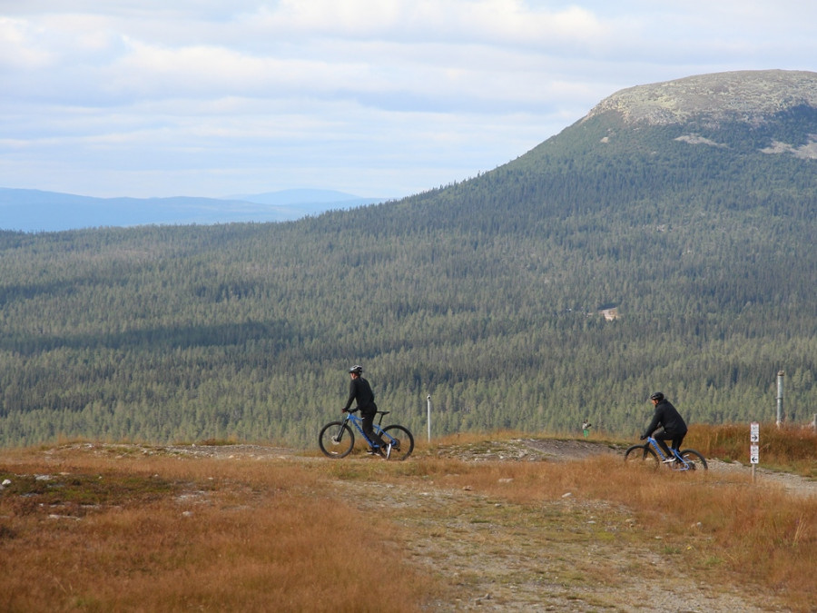 Mountainbiken in Idre