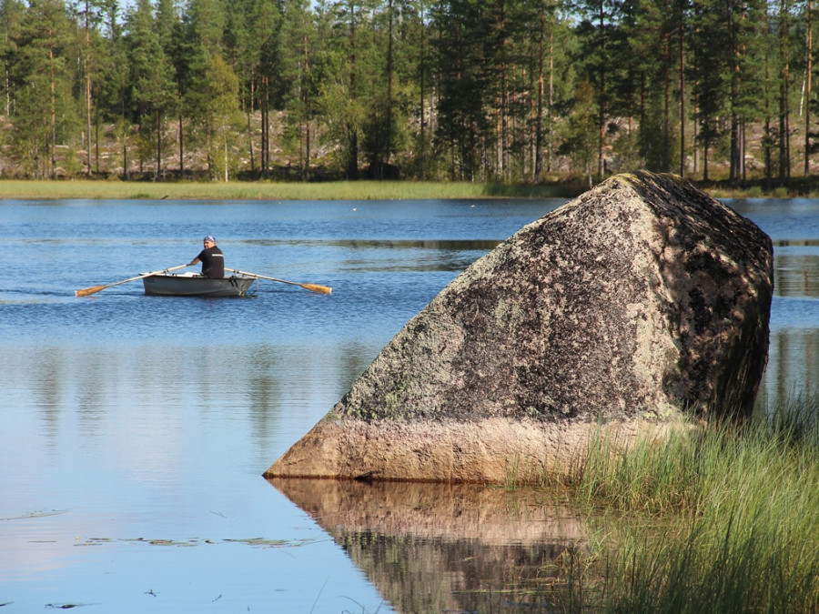 Visser in Zweden