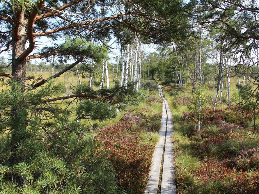 Wandelen in Store Mosse