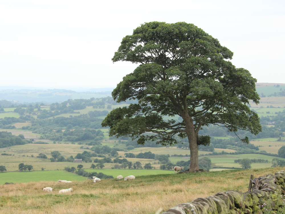 Peak District