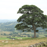 Afbeelding voor Peak District