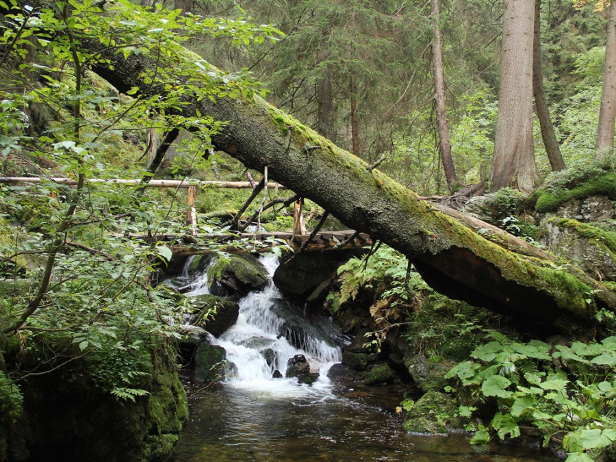 Natuur Jeseniky