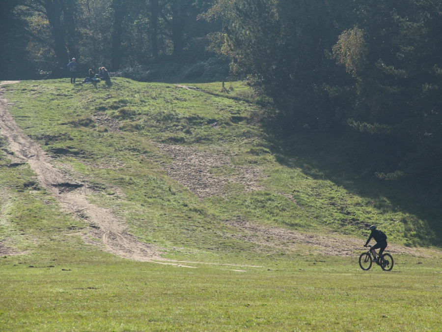 Fietsen bij Lunteren