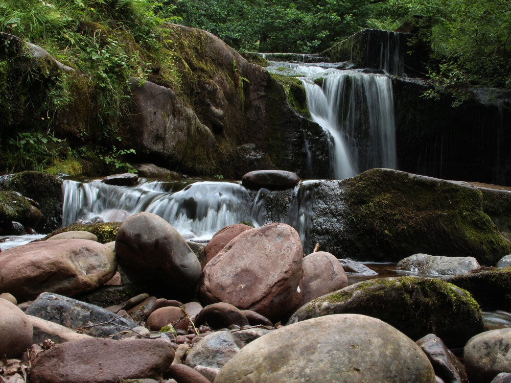 Natuur Brecon Beacons