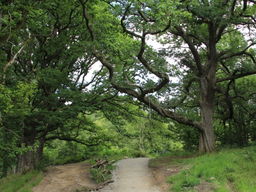 Beacons Way wandelen