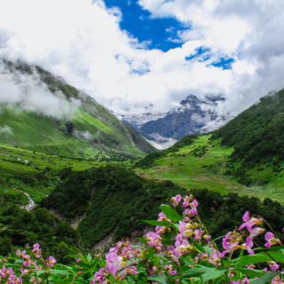 Afbeelding voor Vallei der Bloemen - India