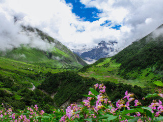 Afbeelding voor Vallei der Bloemen - India