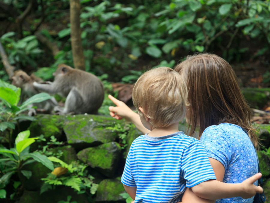 Wildlife kijken met kinderen