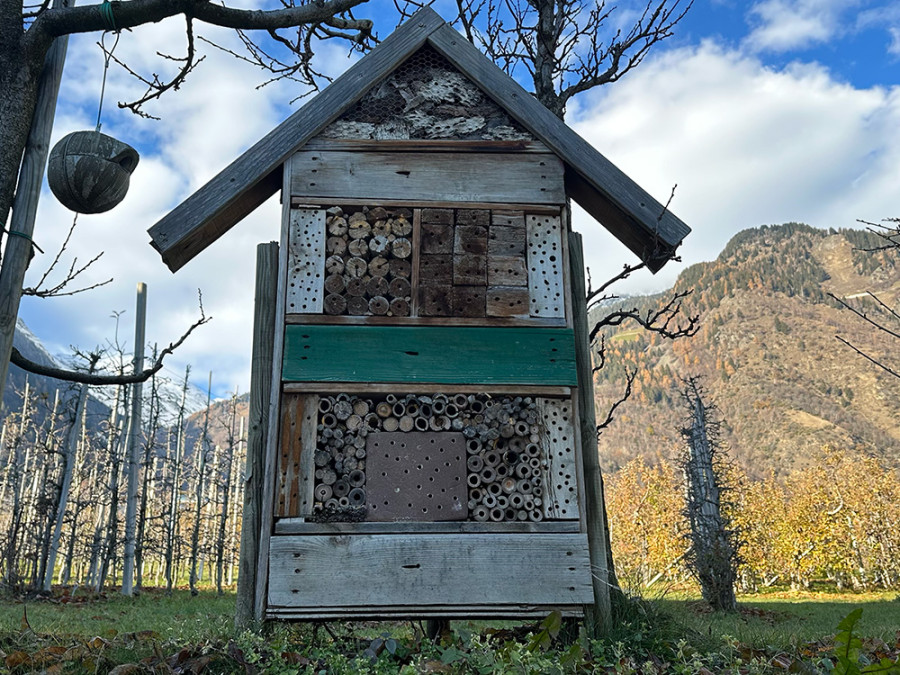 Boerderij in Italië