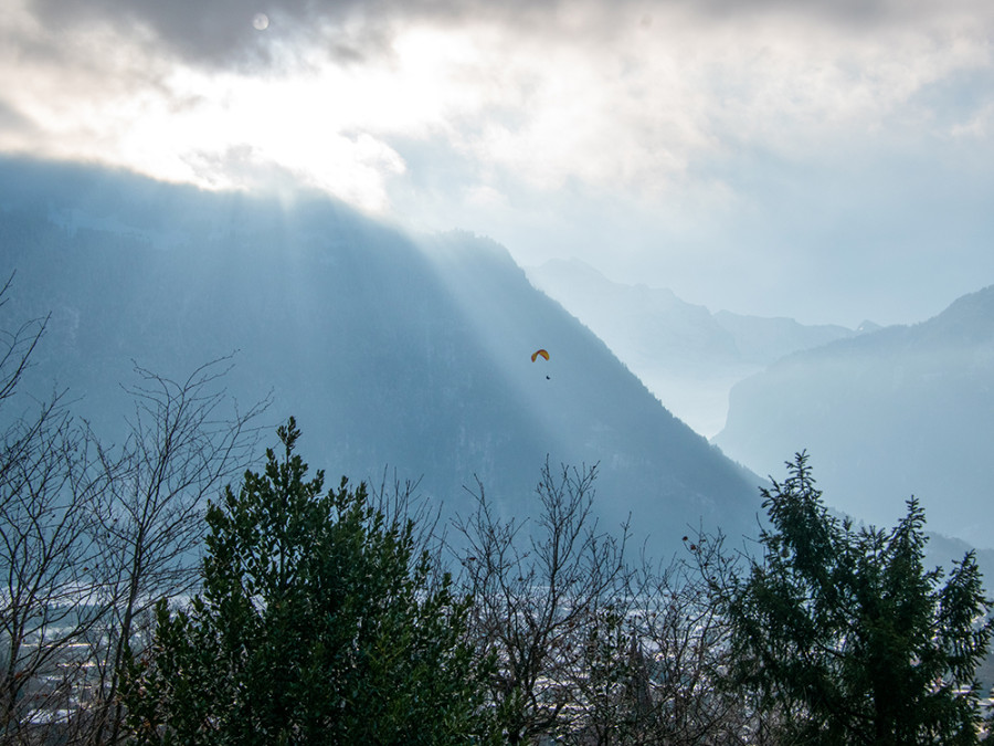 Paragliding Beatenberg