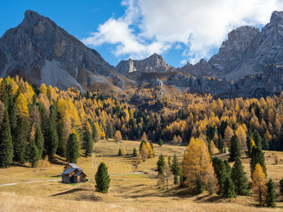 Marmolada