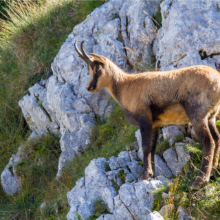 Afbeelding voor Abruzzo in Italië