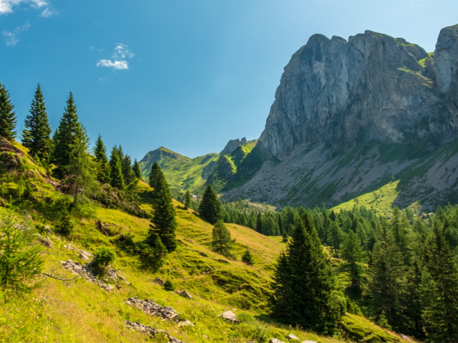 Natuur Alpe Adria