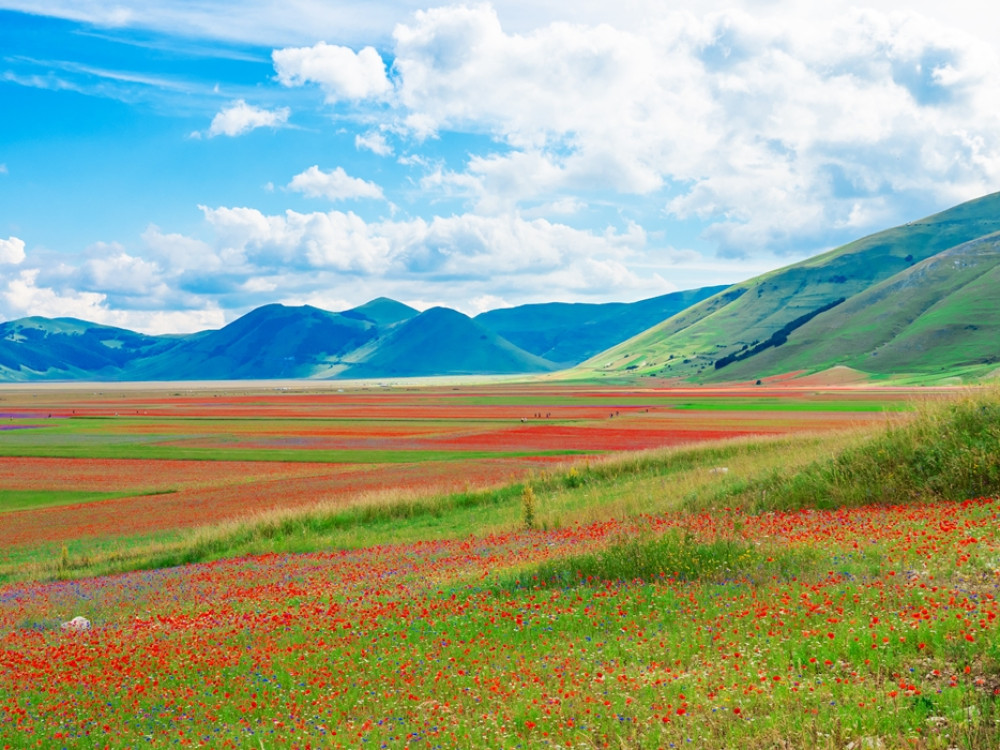 Natuur in Umbrië